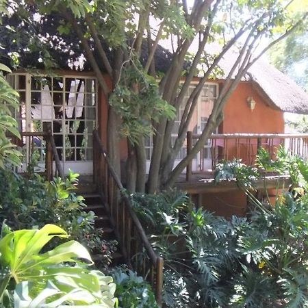 פרטוריה Treetops & Treats Guest House מראה חיצוני תמונה