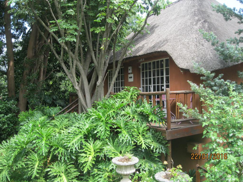 פרטוריה Treetops & Treats Guest House מראה חיצוני תמונה
