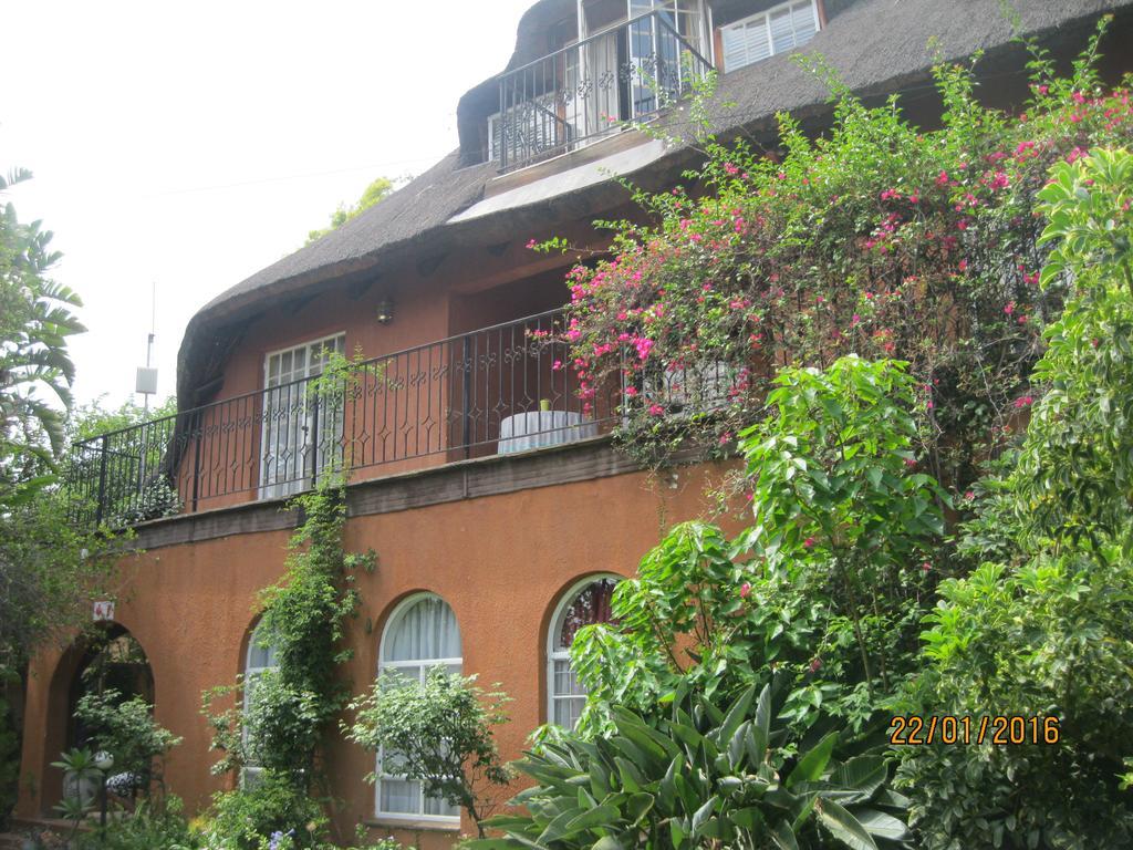 פרטוריה Treetops & Treats Guest House מראה חיצוני תמונה