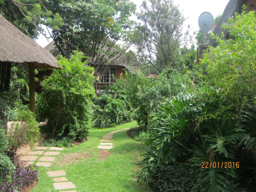 פרטוריה Treetops & Treats Guest House מראה חיצוני תמונה