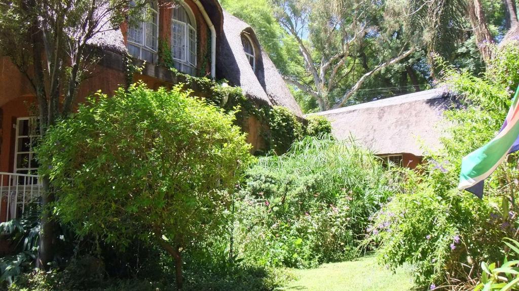פרטוריה Treetops & Treats Guest House מראה חיצוני תמונה
