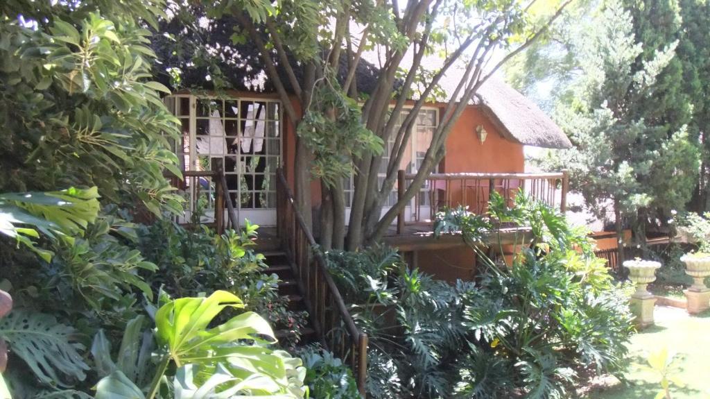 פרטוריה Treetops & Treats Guest House מראה חיצוני תמונה