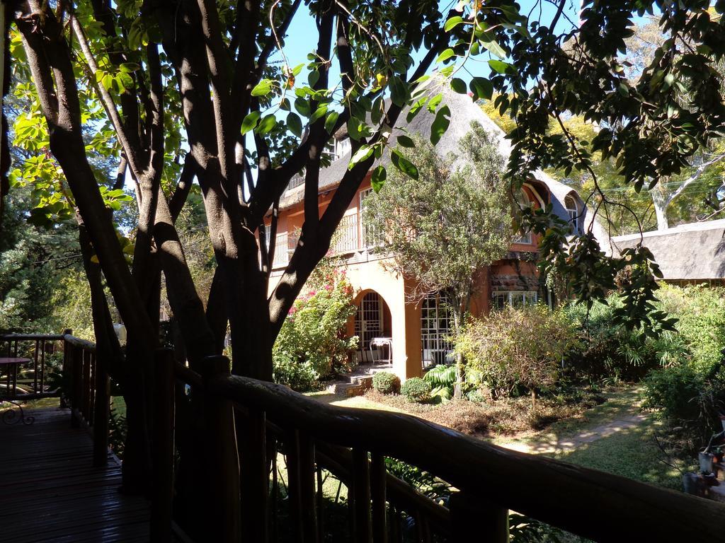 פרטוריה Treetops & Treats Guest House מראה חיצוני תמונה