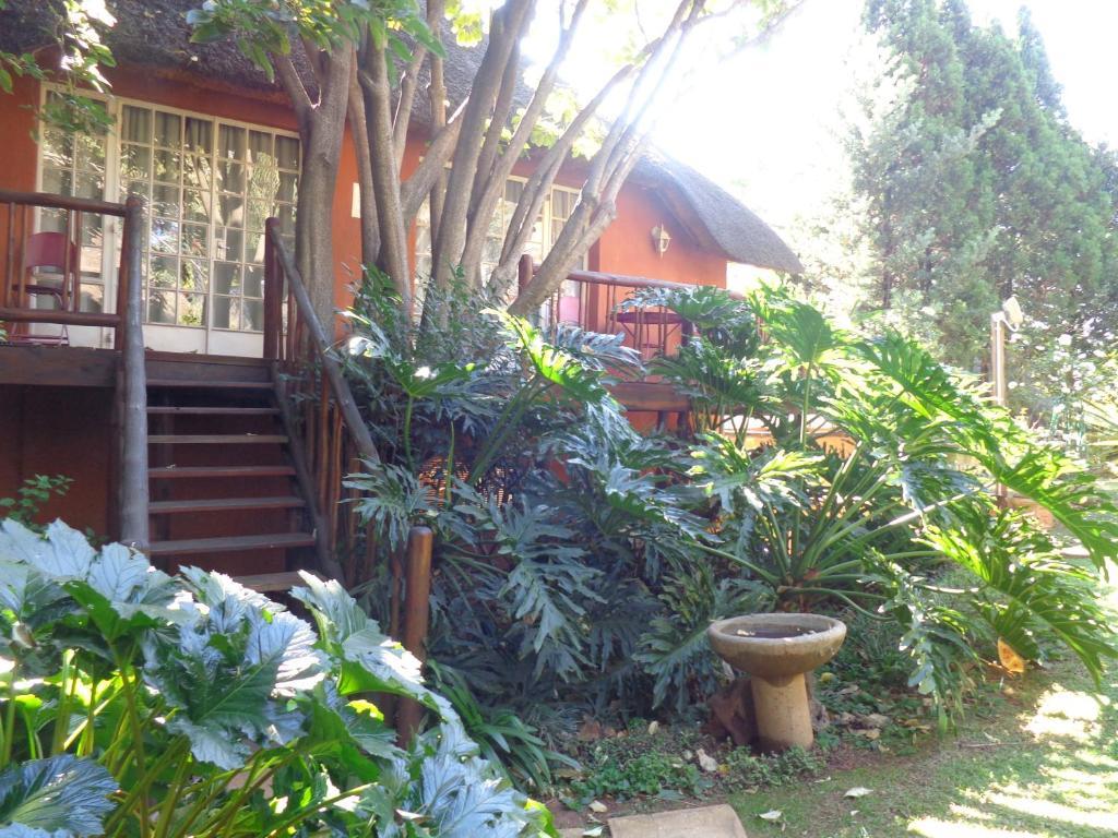 פרטוריה Treetops & Treats Guest House מראה חיצוני תמונה